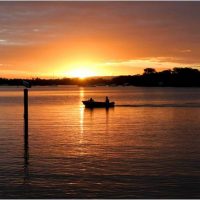 Noosa River